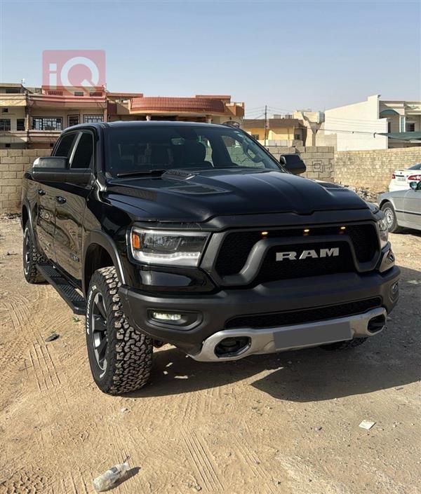 Ram for sale in Iraq